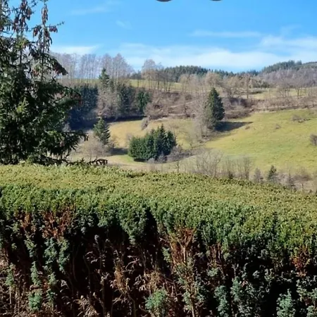 Aartalblick Willingen Apartment *